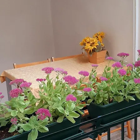 卡多雷公寓 公寓 *