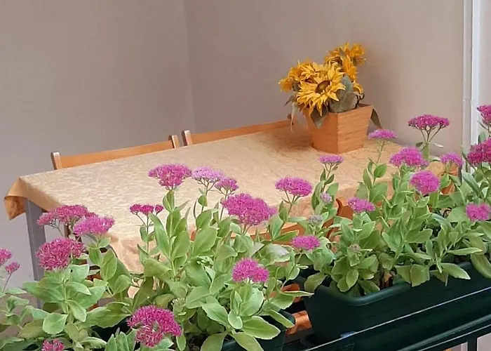 卡多雷公寓 公寓 *